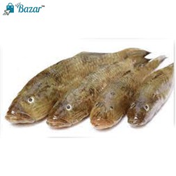 Bailla fish-বাইলা ফিস বড় সাইজ - Tank Goby