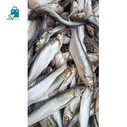 Basa mas - বাছা মাছ