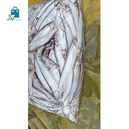 Batasi - বাতাসী মাছ