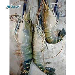 Golda chingri River (20-22 pcs)