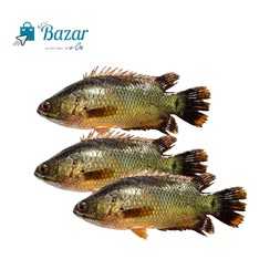 Deshi Koi ( 20-25 Pcs )