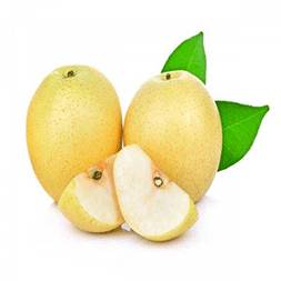Pear (Nashpati)