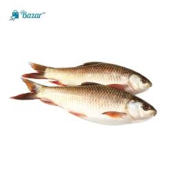 River Rui Fish - নদীর রুই মাছ