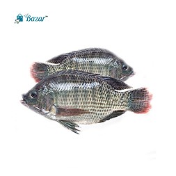 Telapia Big (400 gm Per Kg)